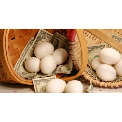 Seu dinheiro por Adriano Koehler  O vai e vem do IOF